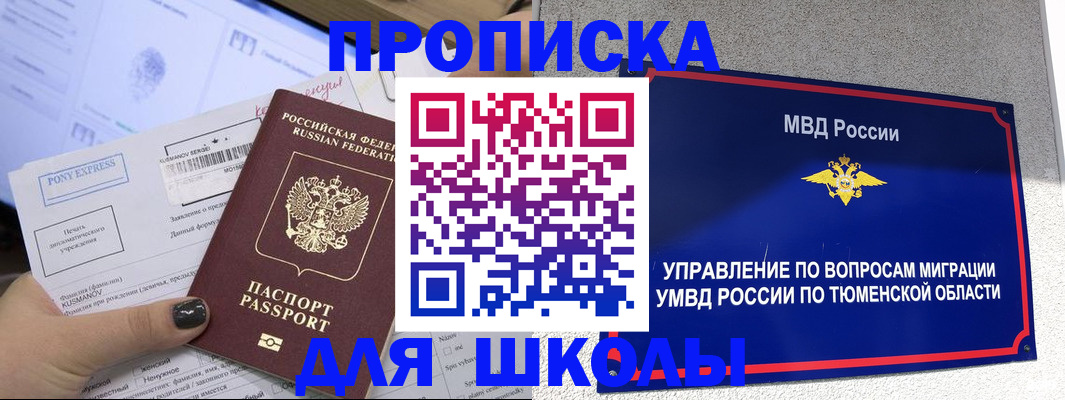 прописка для школы в Фрязино